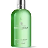 Molton Brown Infusing Eucalyptus Duschgel 300 ml
