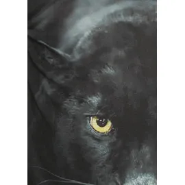 Kidsworld Kapuzenshirt "PANTHER - Fotodruck", Jungen, Gr. 140/146, schwarz, Jersey, Obermaterial: 100% Baumwolle. Obermaterial Vorderteil: 100% Polyester, bedruckt, Basic, Basic, Shirts Kapuzenshirt, Langarm, Basic-Passform, mit peppigem Druck, aus Baumwolle