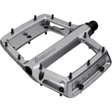 Race Face Turbine Plattformpedale Silber