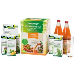 Schoenenberger Schlankheits-Kur Fruchtig 1 Packung Saft