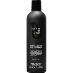 ALFAPARF MILANO Rebalancing Low Shampoo 250 ml Damen