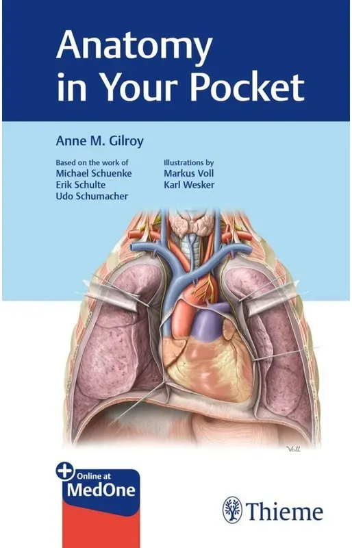 Anatomy In Your Pocket, Anatomy Flash Cards - Anne M Gilroy, Kartoniert (TB)