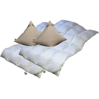 2 x Set leichte Ganzjahresdecke Daunendecke 4x6 135x200 + Kissen 80x80 4-tlg. - Weiß