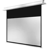 celexon Deckeneinbauleinwand Motor Professional Plus 280 x 158 cm