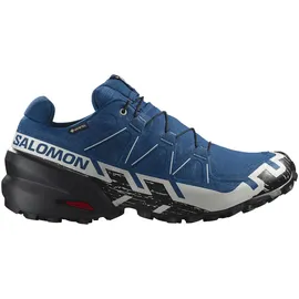 Salomon Speedcross 6 Gore-Tex Herren Poseidon / Black / Lunar Rock 40