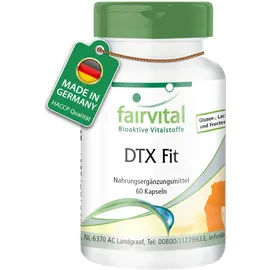 Fairvital Detox Fit Kapseln 60 St.