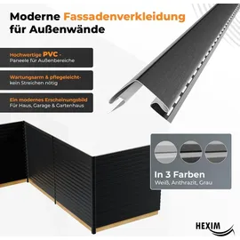 HEXIM Siding Fassadenpaneele grau 2 St. UV-beständig
