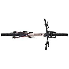 Focus Thron2 6.8 2025 29 Zoll RH 39 cm Unisex Steelgrey / Diamondblack