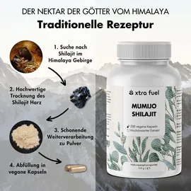 xtra fuel Shilajit Kapseln Original Himalaya Mumijo 1000 mg 3 x 200 St.