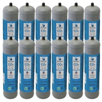 Swan Co2 Einweg Zylinder Flasche 600 gr E290 Kohlesäure Anschluss 11x1 M für Wassersprudler, Kühlaggregate und Trinkwasserspender, 12 Stücke