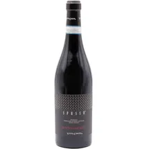 Vite Colte Spasso DOC 2021