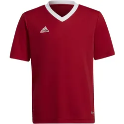 adidas Entrada 22 Trikot Kinder tepore 152