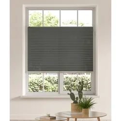 Plissee MY HOME "DAHRA - in Crush-Optik" Gr. 3, grau (dunkelgrau), B:60cm H:130cm, Obermaterial: 100% Polyester, Plissees, Fixmaß, Bestseller mit über 5500 4,5-Sterne-Bewertungen, Klemmträger