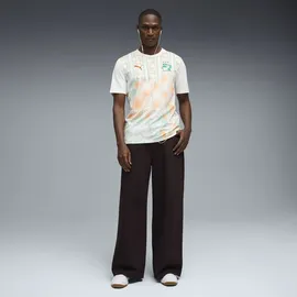 Puma Elfenbeinküste Auswärtstrikot 2026 Herren Gr. M