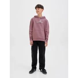 JACK & JONES Jcotier FRONT PRINT SWEAT HOOD Jnr - 152