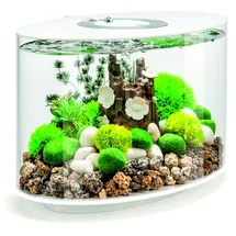 Oase biOrb biOrb LOOP 15 LED weiß