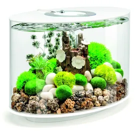 Oase biOrb biOrb LOOP 15 LED weiß