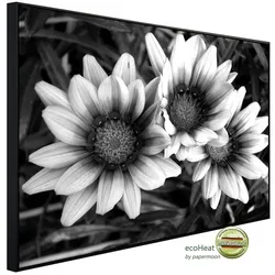 papermoon Infrarotheizung »EcoHeat - Blumen Schwarz + Weiss«, Matt-Effekt - bunt