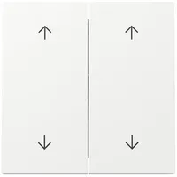 Gira Wippe 2f Pfeile