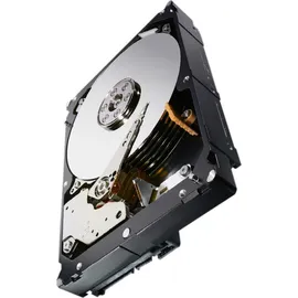 Seagate Constellation ES.3 4 TB 3,5" 6000 Mb/s
