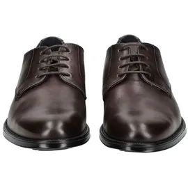 LLOYD DAVENPORT Braun | Gr.: 45.5