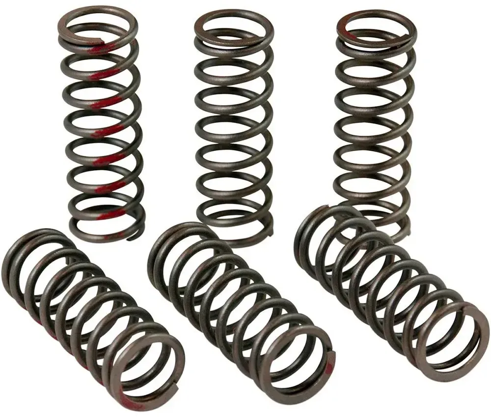 Pro Circuit Honda Crf 450 R Csh13450-cs Kupplungsfedernsatz - One Size
