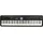 Roland FP-E50