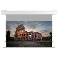 WS-Spalluto WS S GrandCinema Motorleinwand 305x215 cm, Night Sky