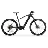 MBM Elektro-Mountainbike KAIROS PLUS 29 Zoll, 14,5 Ah, 522 Wh, grau