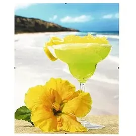 Hama Bilderrahmen Clip-Fix transparent 29,7 x 42,0 cm, 1 St.