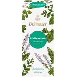 Dallmayr Pfefferminze Tee 25 Portionen