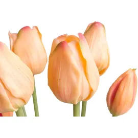 OTTO home Kunstpflanze Maiva Tulpe, OTTO home, Höhe 47 cm, Tulpenbündel im 7er-Set rosa