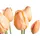 OTTO home Kunstpflanze Maiva Tulpe, OTTO home, Höhe 47 cm, Tulpenbündel im 7er-Set rosa