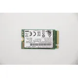 Lenovo SSD 512GB M.2 PCIe 2242 (512 GB, M.2 2242), SSD