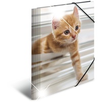 Herma Sammelmappe Tiere A4 katzen