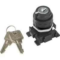 Riegler Druckluft-Meißelhammer Riegler Verschließb. 2-Stellungsschalt.