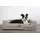 Nobby Hundebett Calbu 90 x 70 cm beige