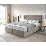DeLife Boxspringbett Dream-Great 160x200 cm Mikrofaser Beige mit Matratze und Topper, Boxspringbetten - 2 Jahre Gewährleistung - mind. 14 Tage Rückgaberecht - Beige - 160x200