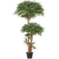 Creativ green »Ruscus«, in toller Größe