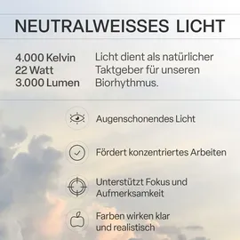 B.K.Licht LED Panel 1 rund 18W 4000K weiß Ø 42 cm