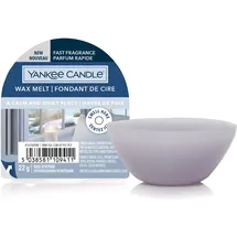 Yankee Candle A Calm & Quiet Place Duftwachs 22 g