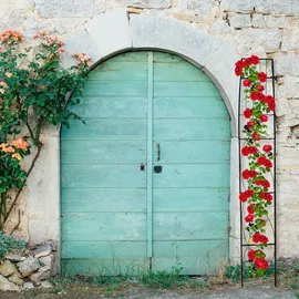 Relaxdays Rosenbogen halbrund 256 x 39 cm Schwarz