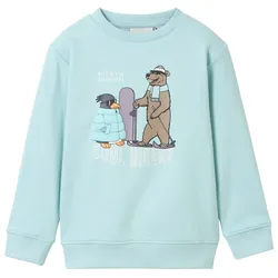 TOM TAILOR Jungen Sweatshirt mit 3D-Print, blau, Print, Gr. 92/98
