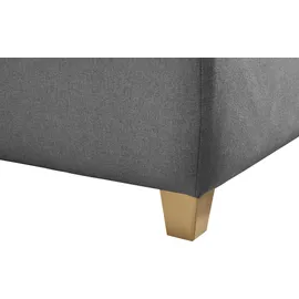 MAINTAL Polsterbett 120 x 200 cm Grau