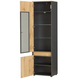 Möbel Kraft Vitrine Light Line 10 56 x 40 x 196 cm Holzfarben