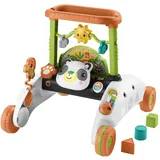 Fisher-Price 2-Seiten Auto-Lauflernwagen Mehrfarbig