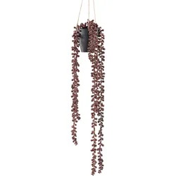 Kunstranke CREATIV GREEN "Hängepflanze Sedum", rot (rotbraun), H:60cm, Kunststoff, Kunstpflanzen, mit rotbrauner Farbgebung