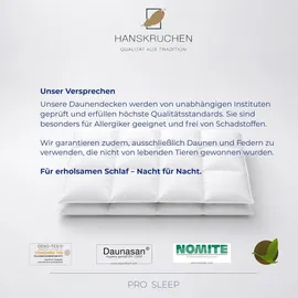 HANSKRUCHEN GmbH HANSKRUCHEN Bettdecke Daunen 200x200 cm Warm waschbar Allergiker Winterbettdecke atmungsaktiv Daunendecke weiss - Weiß