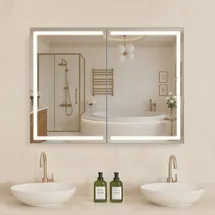 Vevor beleuchteter Medizinschrank mit Spiegel (60 x 80 cm) Wandmontage, 3-farbig dimmbarer mit HD-Spiegel, Memory-Funktion/verstellbaren Regalen, Stauraum/Steckdosen und USBs