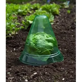 WINDHAGER Pflanzenhut Ø 24 cm 10 Stk.